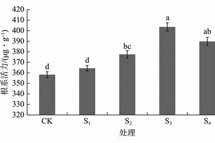 红壤旱地花生高产栽种技术 花生养殖时需要注意什么