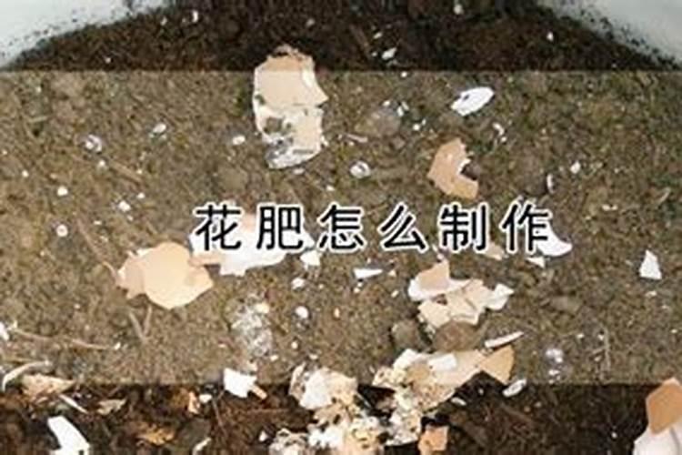 自制万能花肥要怎么做