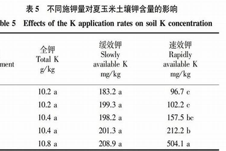 葡萄上怎么使用钾肥最好