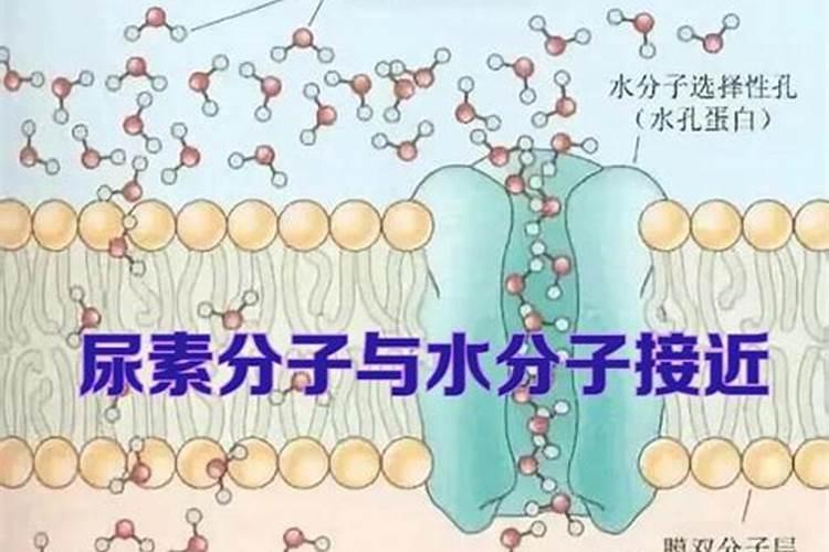 磷酸二氢钾与尿素如何配比
