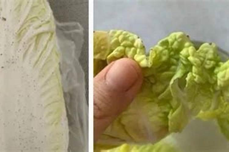 尿素浇花比例尿素浇花怎么样？