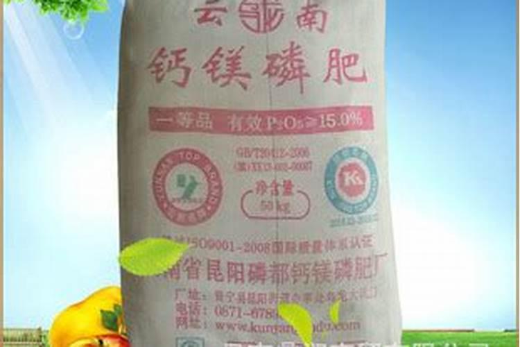 平安树施什么肥料好,氮磷钾肥促进生长(春秋两季施肥)