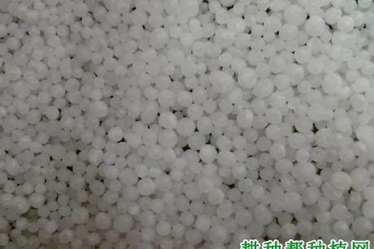 硝态氮和铵态氮的区别