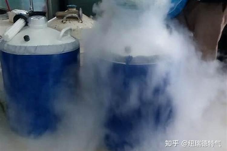 自制氮肥最简单的方法