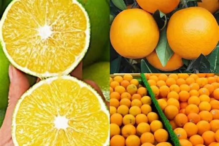 冰糖橙钾肥什么时候施最好？