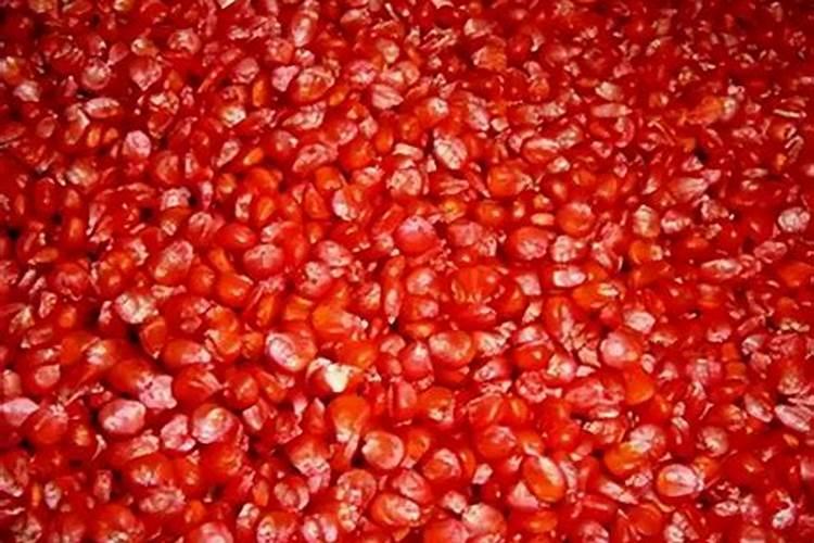 夏玉米种植怎么防止蓟马和灰飞虱 病虫害养殖方法