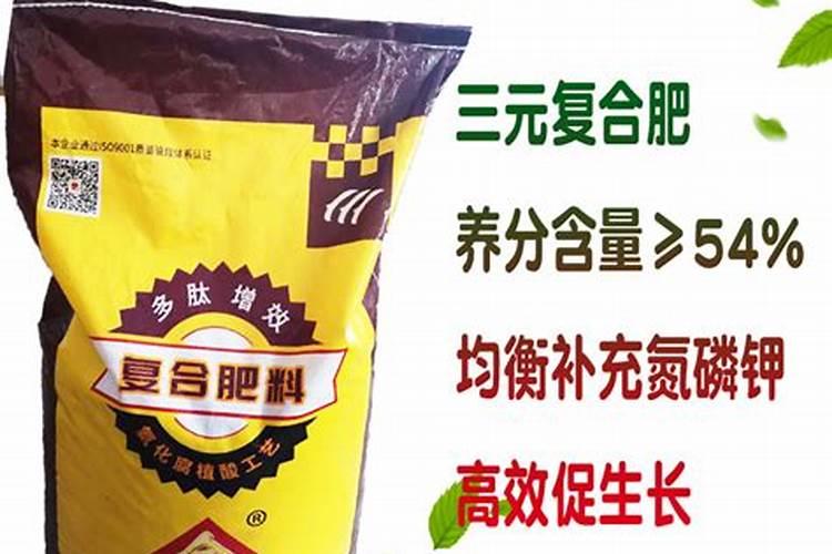 夏季三角梅施肥有哪些注意事项