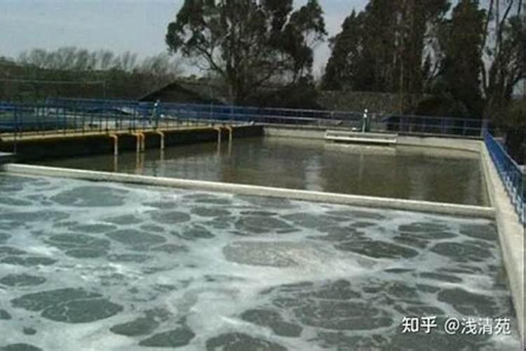 自制肥料方法