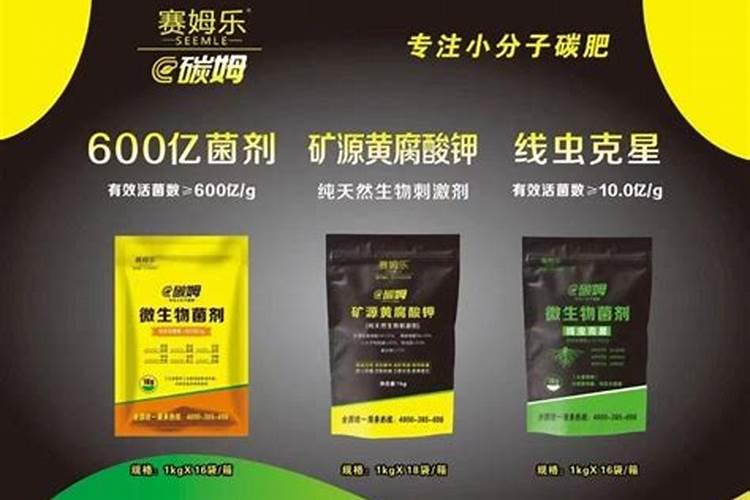 白掌施什么肥最好