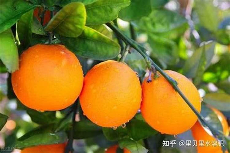 反青是什么意思