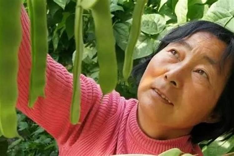 请问这是西葫芦什么病？怎样防治？