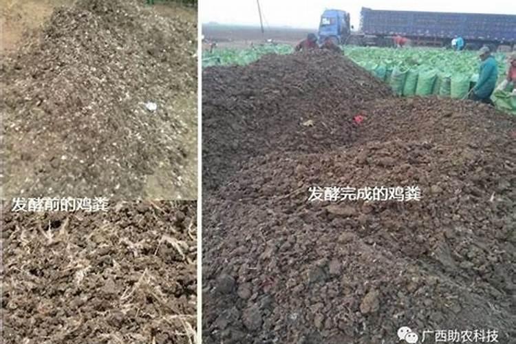 什么叫堆肥腐熟？