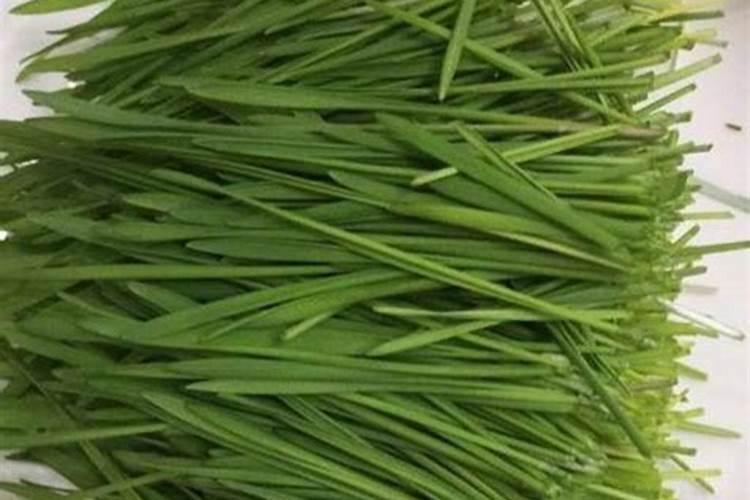 小麦返青期追什么肥料,小麦返青期是什么时候