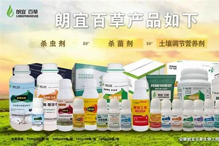 红枫到夏天叶尖卷曲是什么原因？天气太热还是虫害？