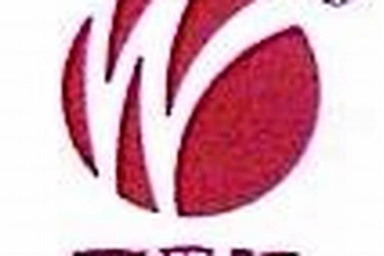 柳传志卖龙井,马云卖普洱,陈泽民要生产茶叶专用肥——食品大佬关注“茶...