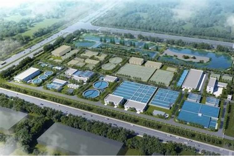 睡莲多少钱一棵？2020年睡莲价格最新行情预测