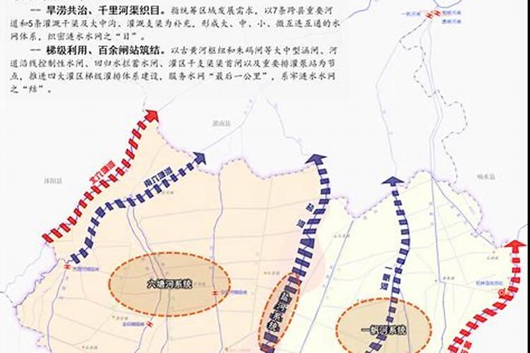 王从琳个人履历