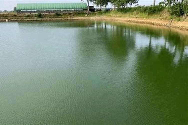 水溶肥料怎么使用 水溶肥如何使用效果更好