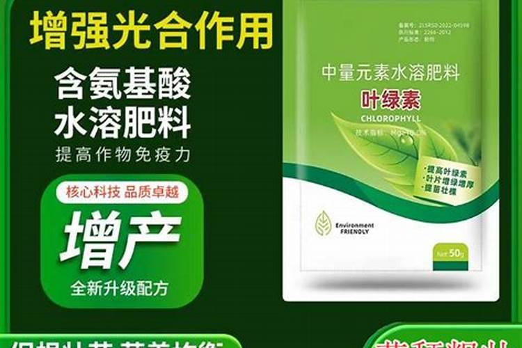 盆栽茉莉花怎么施肥