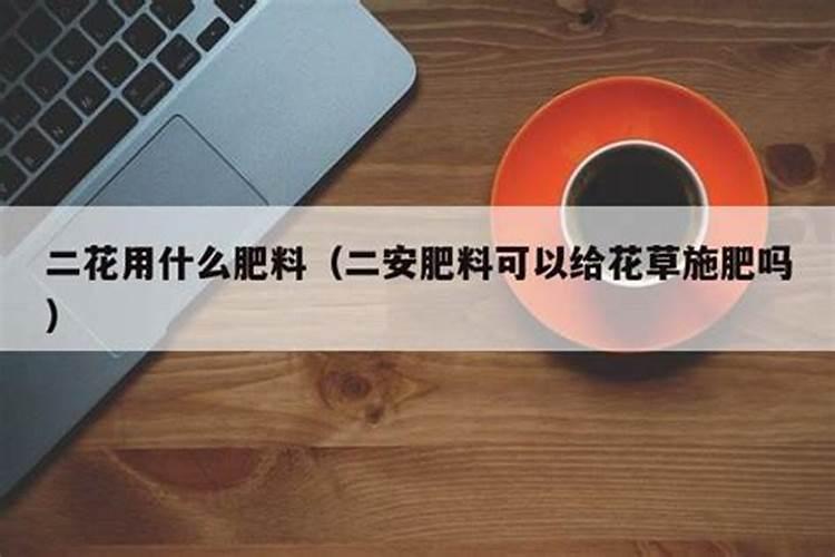 杨梅树施什么肥最好杨梅树施什么肥