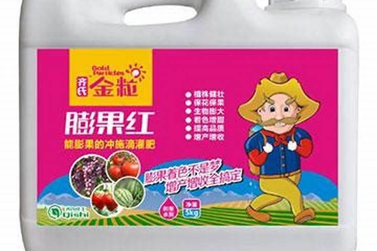 朝天椒果子为什么刚开始红就软软