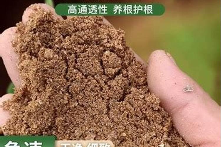 园艺肥品牌推荐