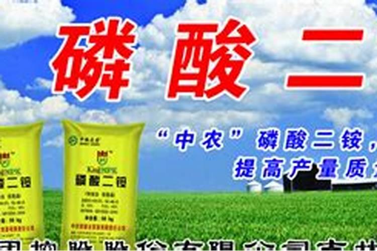 冬枣幼果期,该怎么管理？