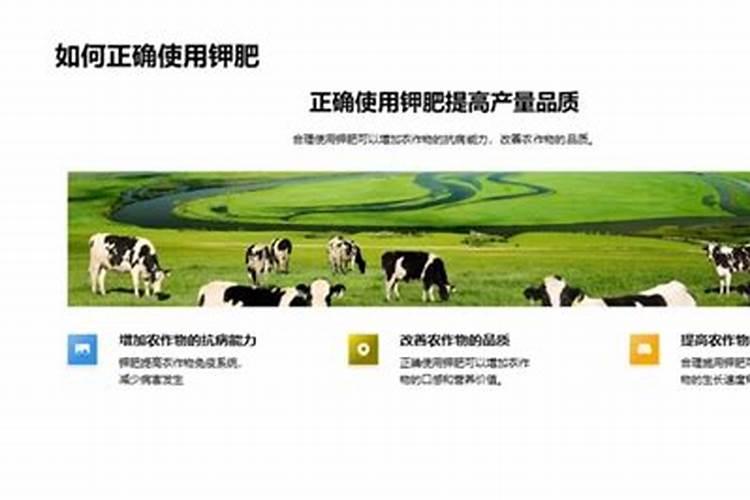 不同钾肥的适用作物和注意事项有哪些？