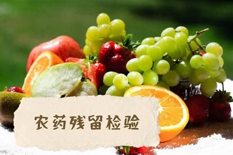葡萄套袋还是不套袋好