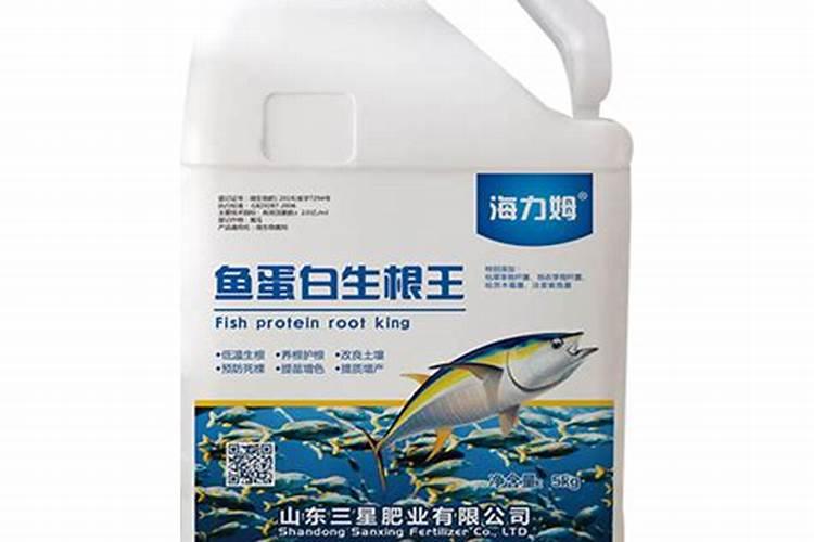 植物激素的化学本质是蛋白质吗
