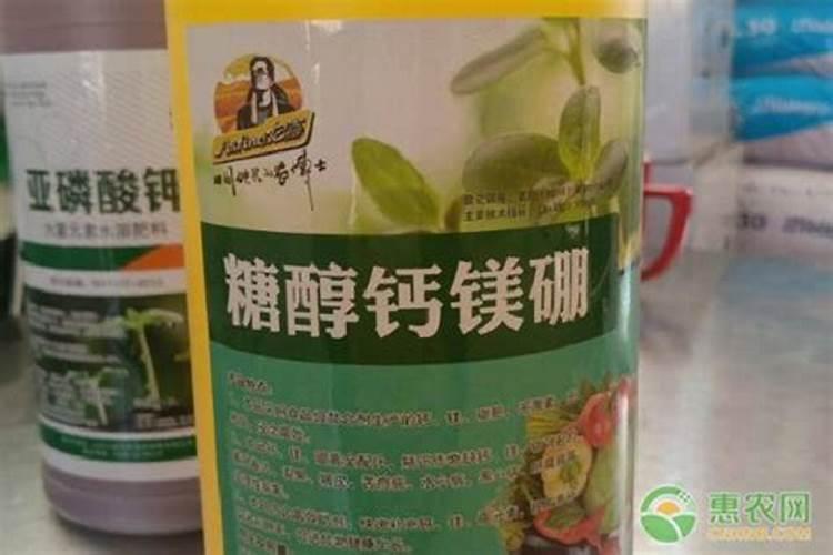 可以用浠释的人液水浇桂花树吗？