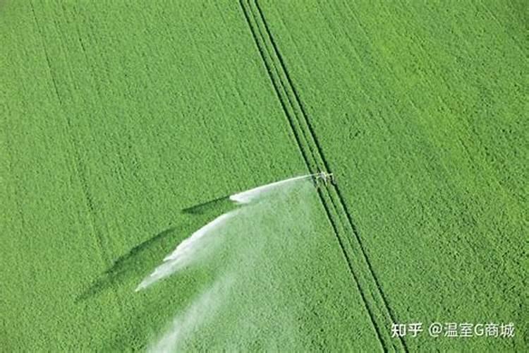 氯化钾肥的正确使用方法