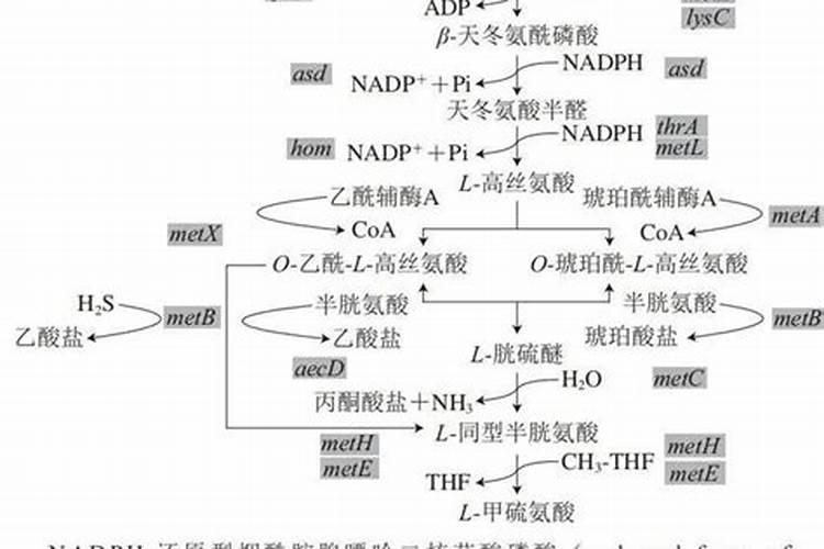 桃树能用硫酸钾复合肥吗？