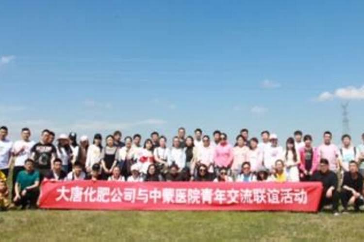 大唐呼伦贝尔化肥有限公司的项目介绍