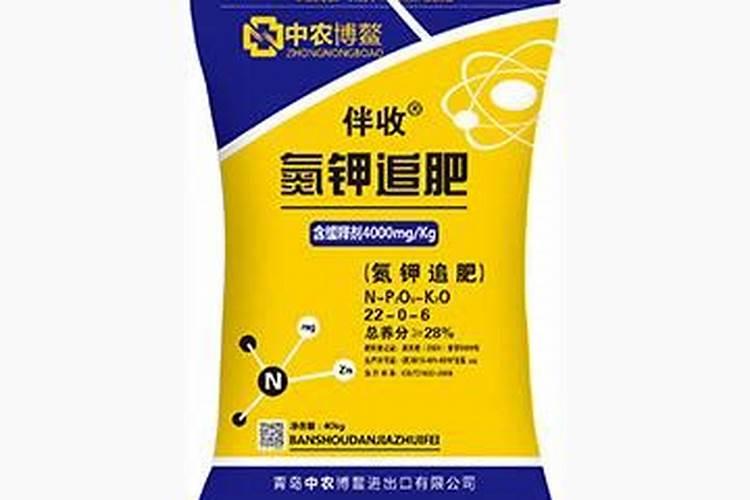 北美冬青果子上可以喷水吗