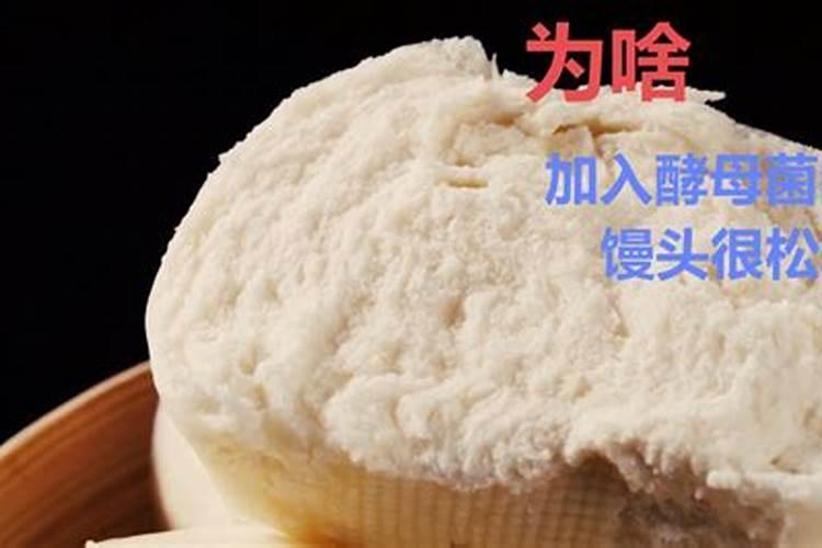 发酵的黄豆水适合浇什么花