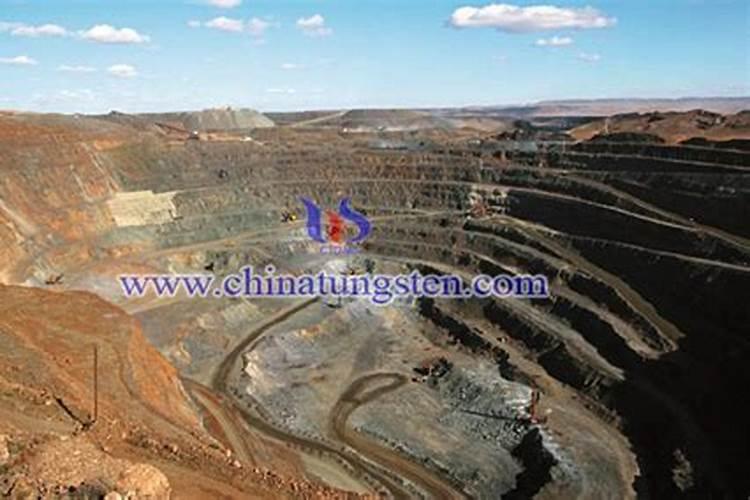 稀土叶面肥对苹果幼果面的影响