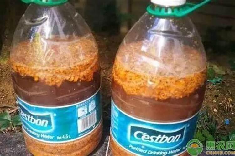 葡萄树上用红糖液可以作叶面肥吗？