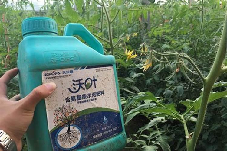 花生什么时候施肥,花生施肥时间,如何施肥