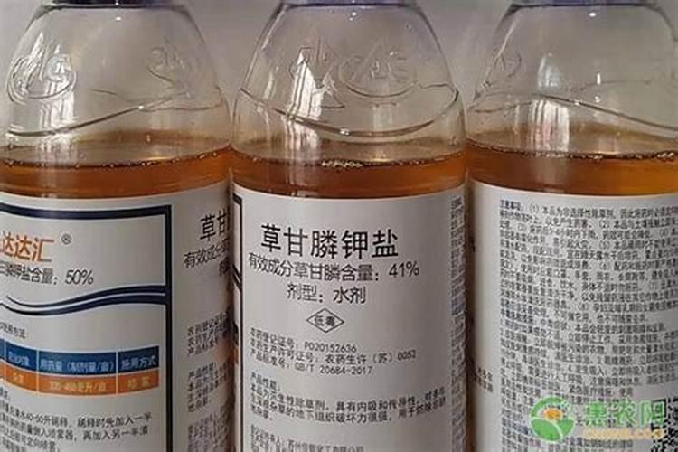 香蕉叶子发黄了这是什么病？怎么防治？