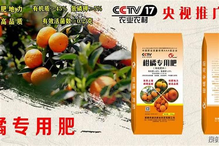 广西垂青旺财好懒人肥(柑橘)一桶价格多少？