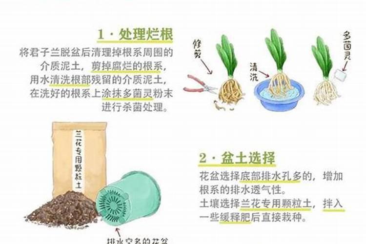 碧护叶面肥主要功效