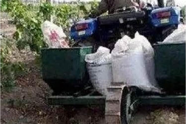 如何判别化肥的肥效好坏 怎样判别化肥的肥效好坏