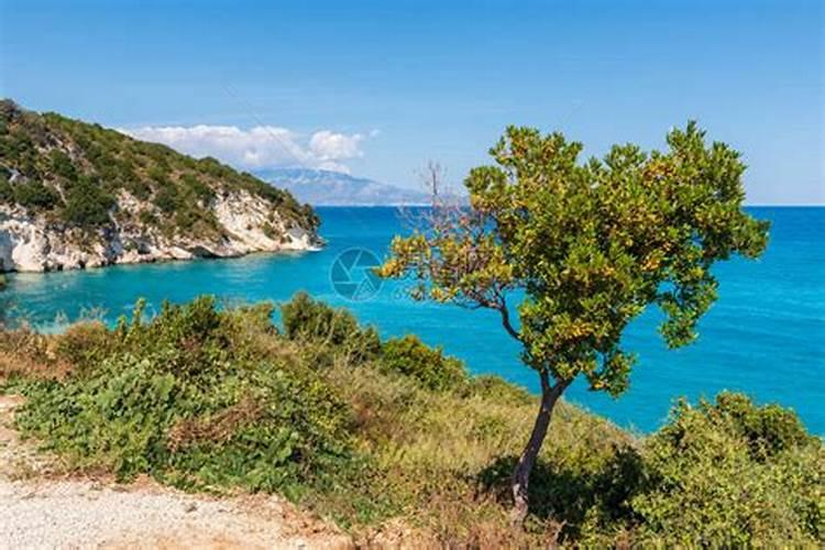 傍“洋化肥”因包装标识“露馅” 专家:涉嫌假冒进口肥