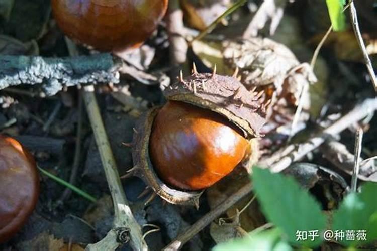 生化检验结果:尿素高8.72mmol\L,是什么意思？