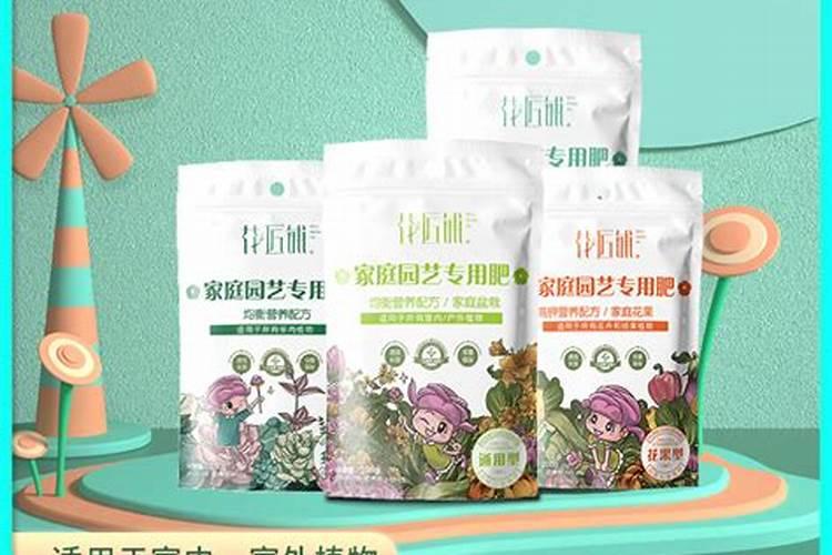 小花匠怎么种植玫瑰花？