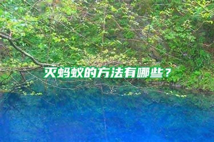 吡虫啉种糖化硼肥片有什么区别