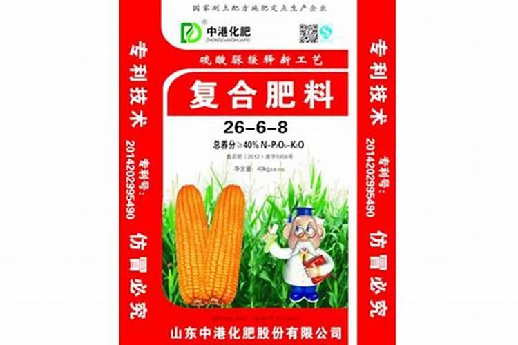 刚移栽的幸福树要马上浇水吗