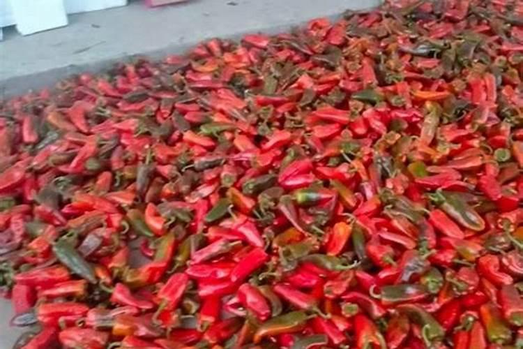 辣椒用什么肥料才能高产 种辣椒用什么肥料高产