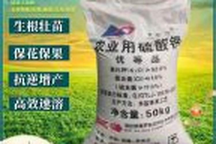 钾肥一亩地上多少